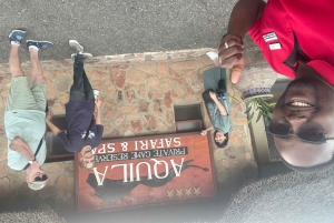 SAFARI: Ciudad del Cabo, Aquila Big 5 y almuerzo (servicio de recogida del hotel incluido).