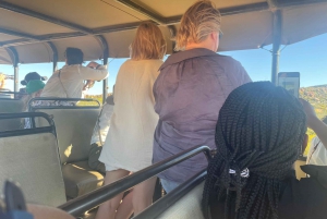 SAFARI: Ciudad del Cabo, Aquila Big 5 y almuerzo (servicio de recogida del hotel incluido).