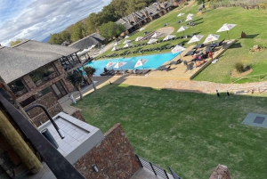 SAFARI: Ciudad del Cabo, Aquila Big 5 y almuerzo (servicio de recogida del hotel incluido).