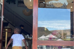 SAFARI: Ciudad del Cabo, Aquila Big 5 y almuerzo (servicio de recogida del hotel incluido).