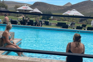 SAFARI: Ciudad del Cabo, Aquila Big 5 y almuerzo (servicio de recogida del hotel incluido).