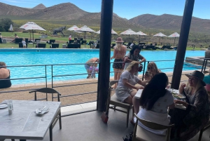 SAFARI: Ciudad del Cabo, Aquila Big 5 y almuerzo (servicio de recogida del hotel incluido).