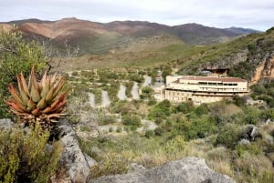 Itinerário de 1 a 10 dias da Cidade do Cabo à rota dos jardins