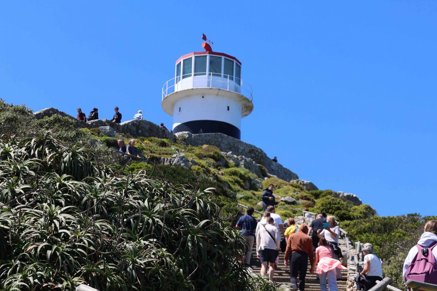Kapstaden: Dagsutflykt med pingviner till Cape Point & Boulders Beach