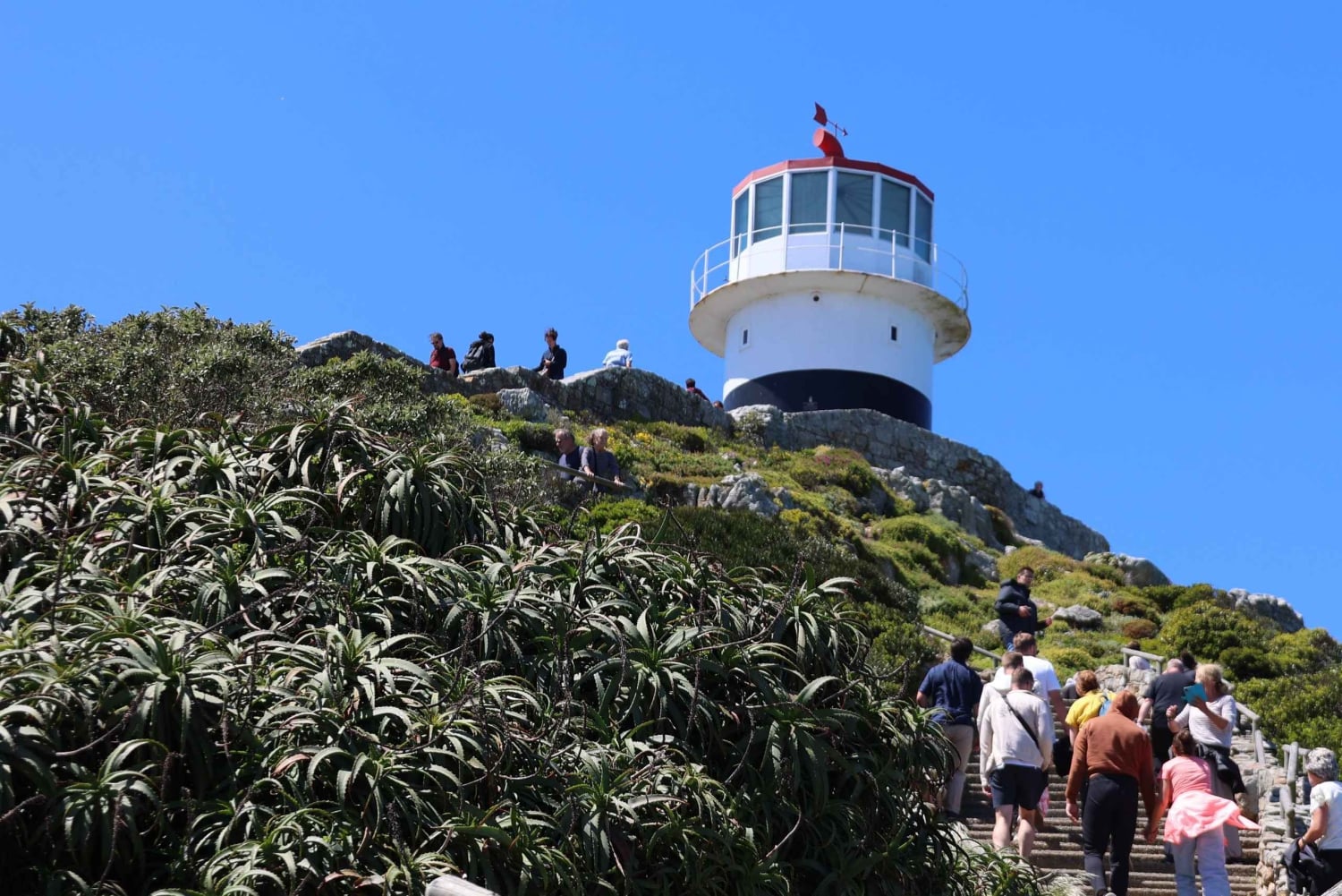 Cidade do Cabo: Passeio de um dia por Cape Point e Boulders Beach com pinguins