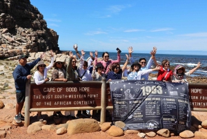 Le Cap : Excursion d'une journée à la Pointe du Cap et à Boulders Beach pour les pingouins