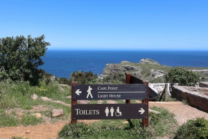Kapstaden: Dagsutflykt med pingviner till Cape Point & Boulders Beach