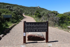 Кейптаун: экскурсия по Кейп-Пойнту и пляжу Боулдерс, однодневная поездка к пингвинам