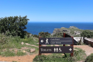 Cidade do Cabo: Passeio de um dia por Cape Point e Boulders Beach com pinguins