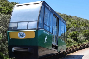 Cidade do Cabo: Passeio de um dia por Cape Point e Boulders Beach com pinguins