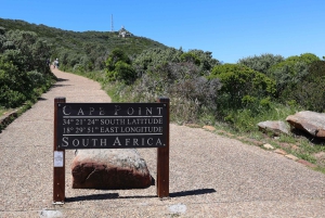 Cidade do Cabo: Passeio de um dia por Cape Point e Boulders Beach com pinguins