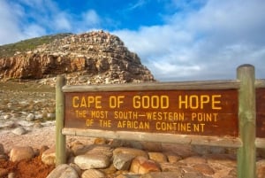 Tafelberg, Cape Point & Penguin Beach ENTRANCE INCLUSIEF