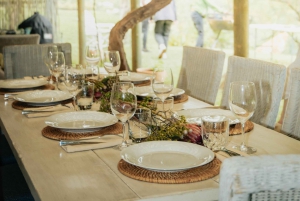 Cape Town: Traditional Wine & Braai (BBQ) Experience