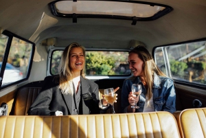 Cape Town: Traditional Wine & Braai (BBQ) Experience