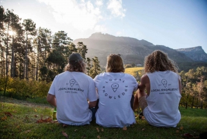 Cape Town: Traditional Wine & Braai (BBQ) Experience
