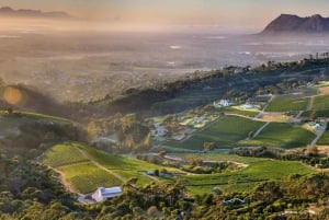 Cape Town: Traditionel vin og braai (grill) oplevelse