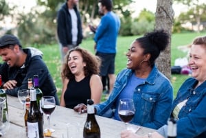 Cape Town: Traditional Wine & Braai (BBQ) Experience