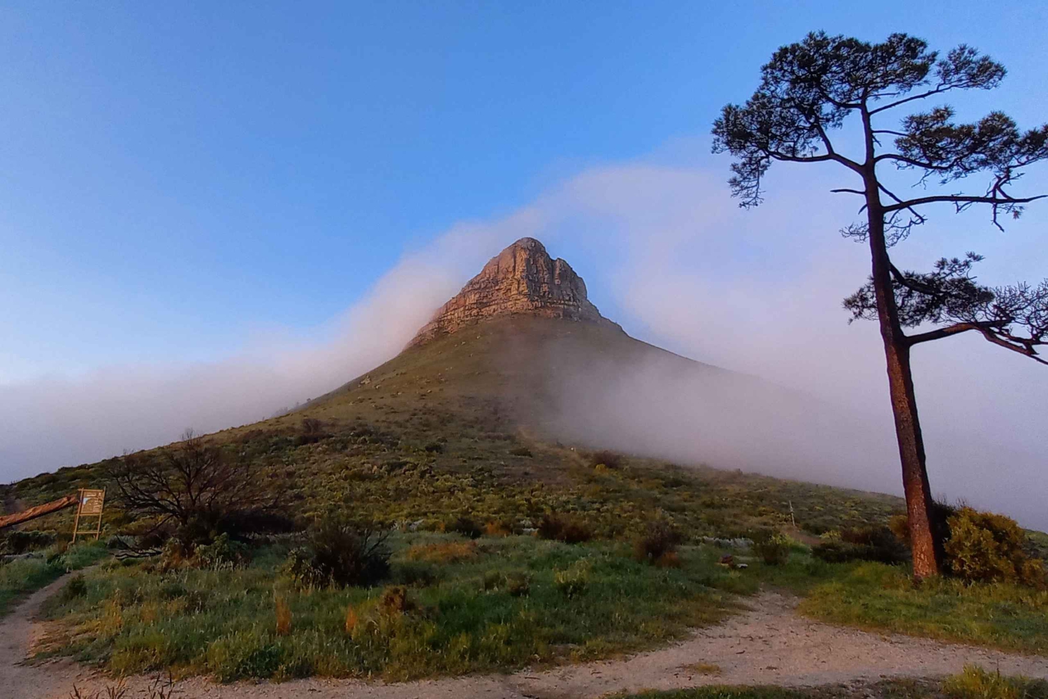 Città del Capo: Trail Run Lion's Head e Signal Hill Mattina