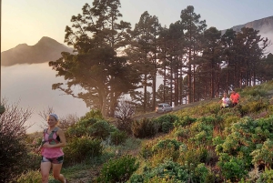 Città del Capo: Trail Run Lion's Head e Signal Hill Mattina