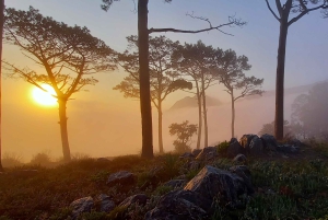 Città del Capo: Trail Run Lion's Head e Signal Hill Mattina