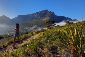 Città del Capo: Trail Run Lion's Head e Signal Hill Mattina