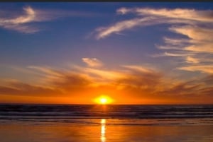 Cape Town: Atlantis Dunes Quad Biking Adventure