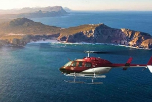 Tour di un giorno con volo panoramico in elicottero di Città del Capo sui due oceani
