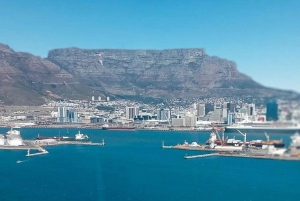 Кейптаун: однодневные туры на вертолете с живописными видами на два океана