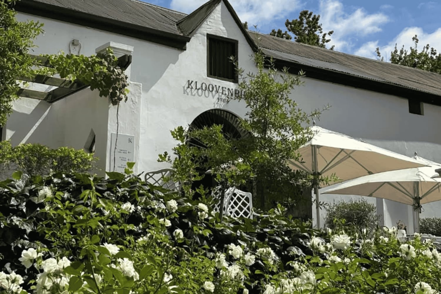 Kapstaden: vintur i två dalar med Springboks gård