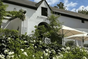 Kapstaden: vintur i två dalar med Springboks gård