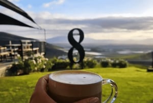 Kapstaden: vintur i två dalar med Springboks gård