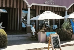 Kapstaden: vintur i två dalar med Springboks gård