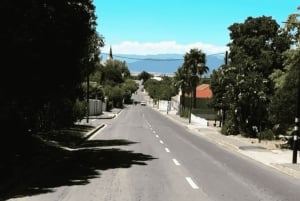 Kapstaden: vintur i två dalar med Springboks gård