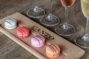 Kapstaden: vintur i två dalar med Springboks gård