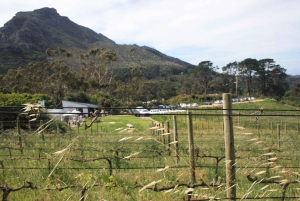 Cape Town: Opplevelse med vinsmaking av ypperste klasse