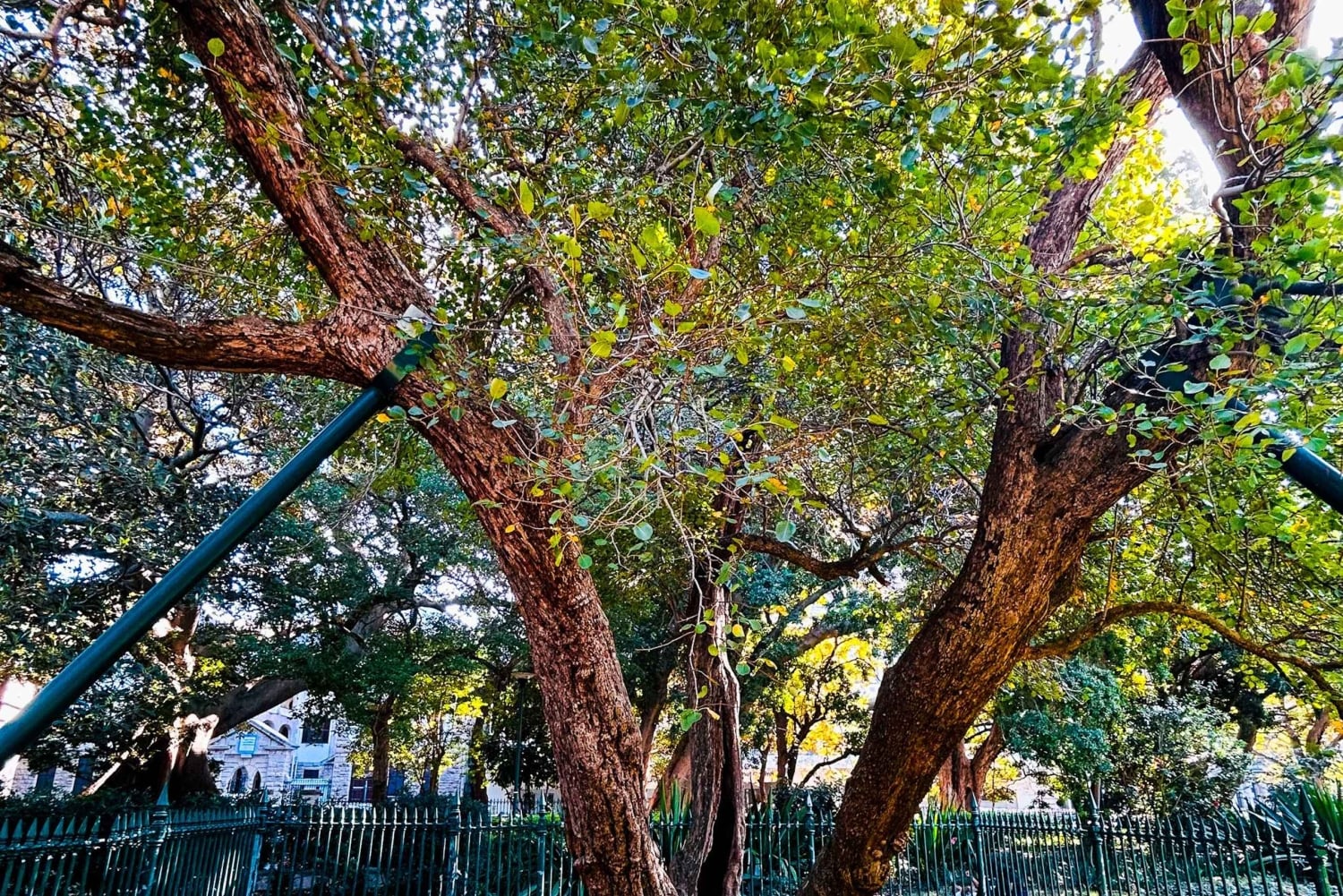 Kapsztad bez tajemnic: kultura na piechotę