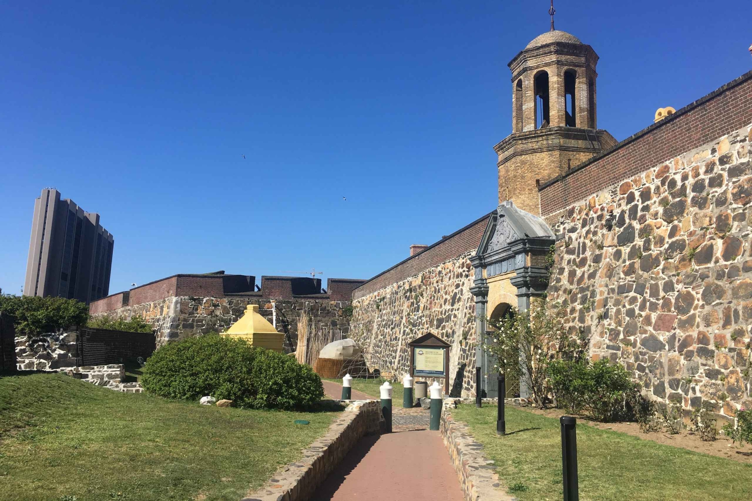 Cape Town: Urban Safari & Hop-On Hop-Off Bus Combo