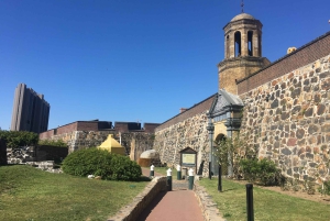 Cape Town: Urban Safari & Hop-On Hop-Off Bus Combo