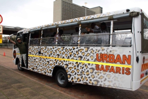 Cape Town: Urban Safari & Hop-On Hop-Off Bus Combo
