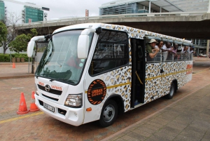 Cape Town: Urban Safari & Hop-On Hop-Off Bus Combo