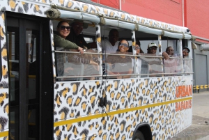 Cape Town: Urban Safari & Hop-On Hop-Off Bus Combo