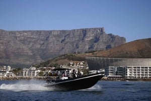 Cape Town: V&A Waterfront Adventure Boat Ride