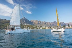 Ciudad del Cabo: Crucero con champán por V&A Waterfront