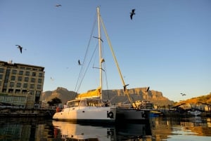 Kapstadt: V&A Waterfront Champagner-Kreuzfahrt