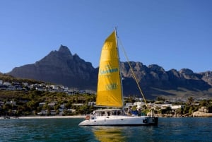 Ciudad del Cabo: Crucero con champán por V&A Waterfront