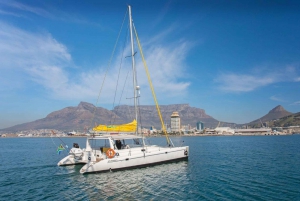 Cape Town: V&A Waterfront Champagne Cruise