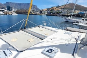 Kaapstad: V&A champagnecruise aan het water