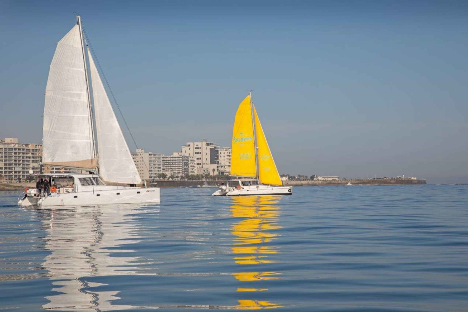 Kaapstad: V&A Waterfront Gin Voyage Cruise