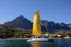 Kaapstad: V&A Waterfront Gin Voyage Cruise