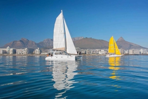 Kaapstad: V&A Waterfront Gin Voyage Cruise